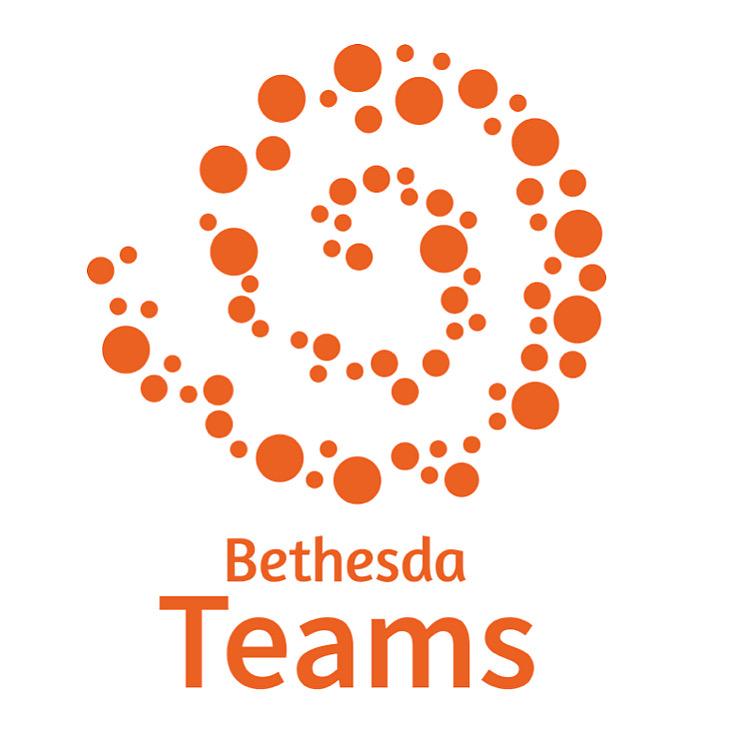 bethesda teams logo
